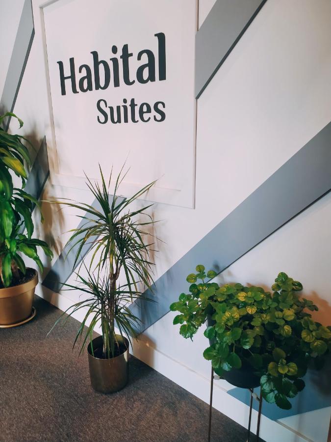 Habital Suites Jaca Dış mekan fotoğraf